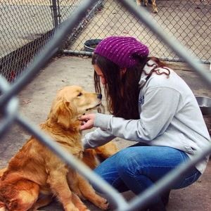 Meet your Posher, Faith